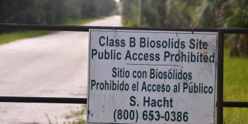 Phosphates from sewage sludge entering Lake Washington