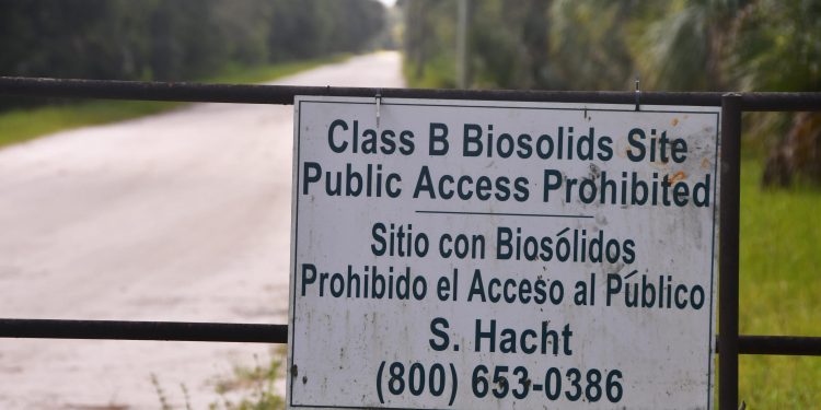 Phosphates from sewage sludge entering Lake Washington