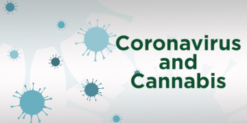 Coronavirus Puts Pressure on the Cannabis Supply Chain