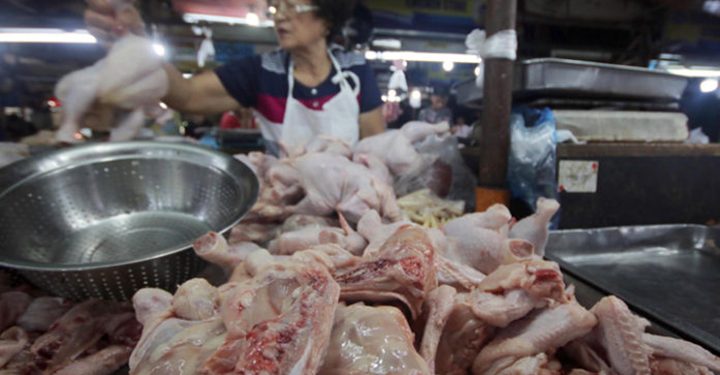 Weak demand, high inventory cut farm-gate price of broiler