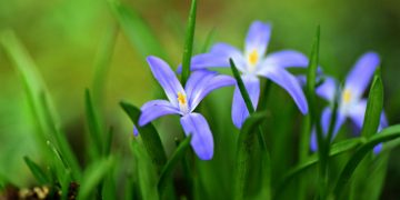 News from week beginning 9th March –