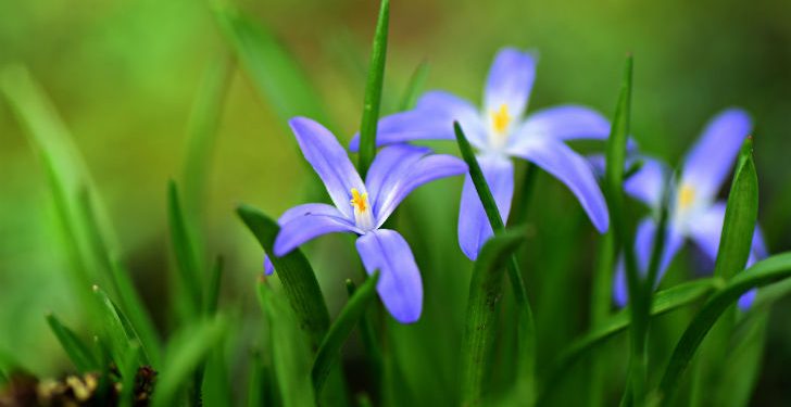 News from week beginning 9th March –