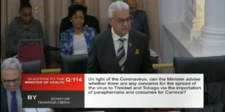 Minister: COVID-19 could not survive on Carnival costumes from China