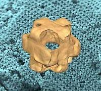 Engineered nanowrappers carry and release tiny cargo