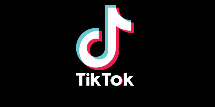 TikTok picks The Trade Desk to monetise its inventory
