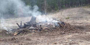 B.C. wide burning restrictions come into effect April 16 – Chilliwack Progress