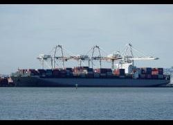 Walter Molano | Supply chain crisis | Business