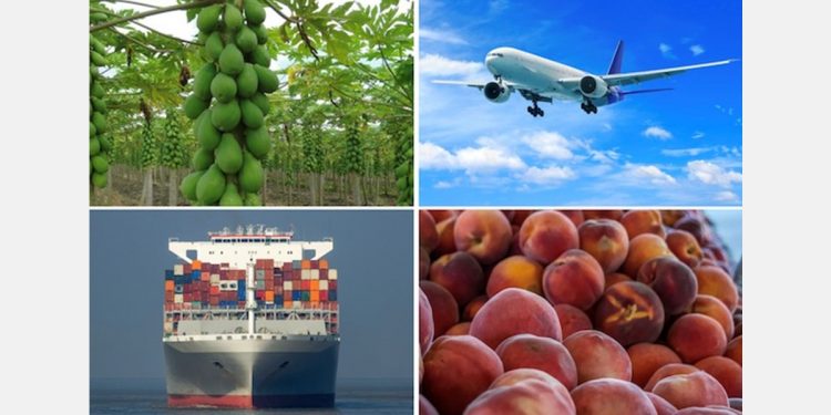 Air freight experiences challenges but ocean freight imports from Latin America into US remain steady