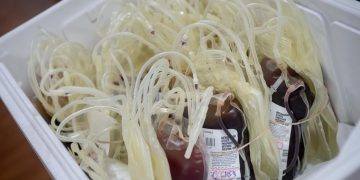 Carter BloodCare: Inventory ‘pretty good,’ but future supply concern | Coronavirus