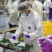 Ford making reusable hospital gowns from airbag materials as efforts against coronavirus expand