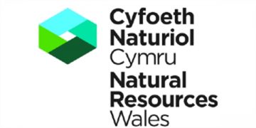 Senior Advisor, Procurement job with Natural Resources Wales