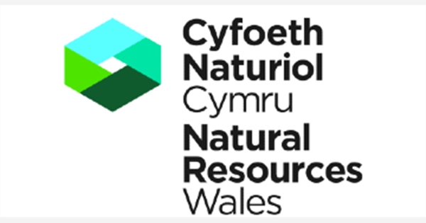 Senior Advisor, Procurement job with Natural Resources Wales