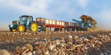 Coronavirus-related supply chain concerns push more Olam customers to source domestically