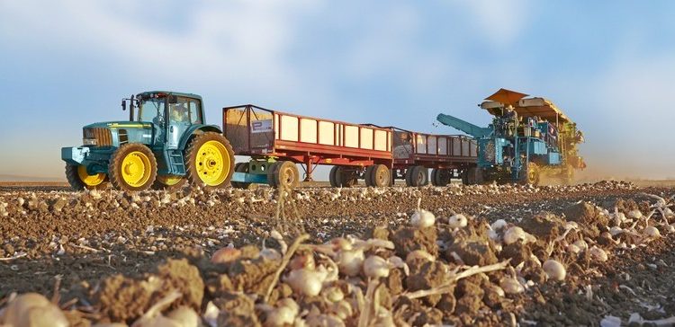 Coronavirus-related supply chain concerns push more Olam customers to source domestically