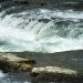 Navigating turbulent times in your supply chain (TL:DR version)