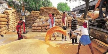 Panic buying could impact global food supply chain: World Food Programme